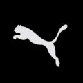 Puma UAE