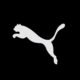 Puma UAE